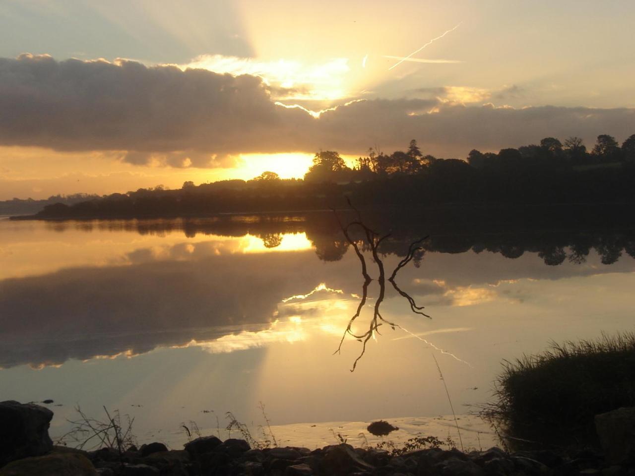 Ferrycarrig Hotel Экстерьер фото