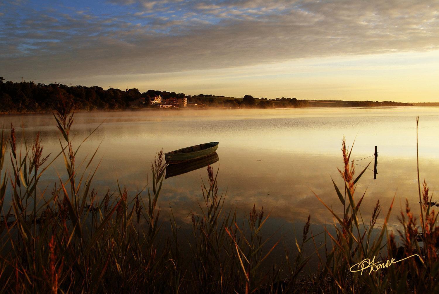 Ferrycarrig Hotel Экстерьер фото
